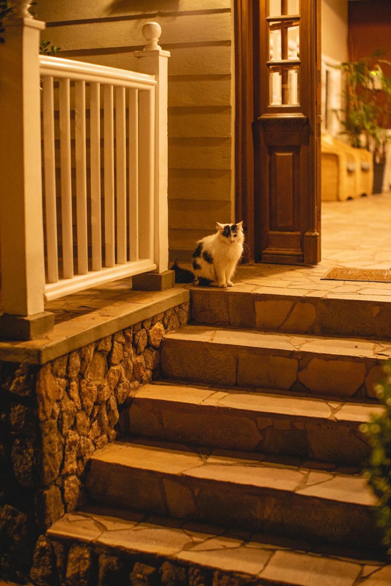 Recanto Da Paz Hotel Fazenda Atibaia Εξωτερικό φωτογραφία